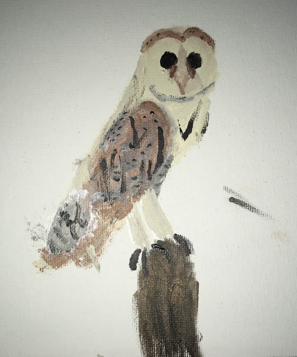 Barn Owl Painting